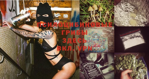 a pvp Корсаков