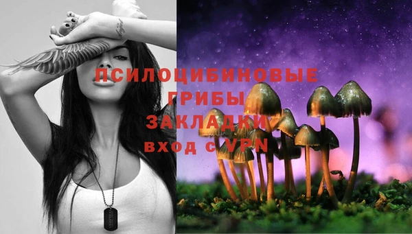 сатива Краснослободск